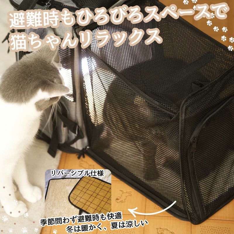リュックを拡張して猫用のゲージとして使用し猫がリラックスしている様子
